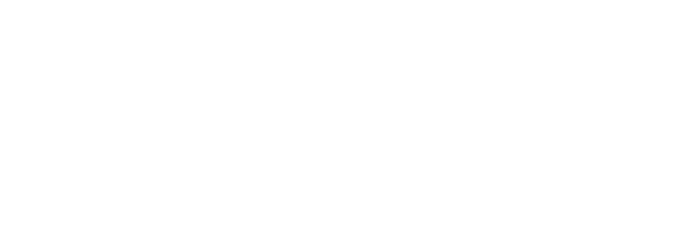 Flight Simulator II logo