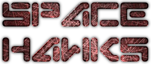 Space Hawks logo