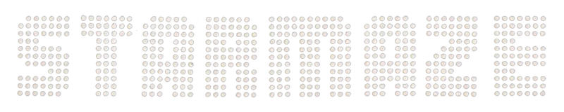 Starmaze logo