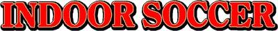 Indoor Soccer logo