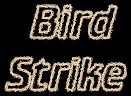 Bird Strike logo