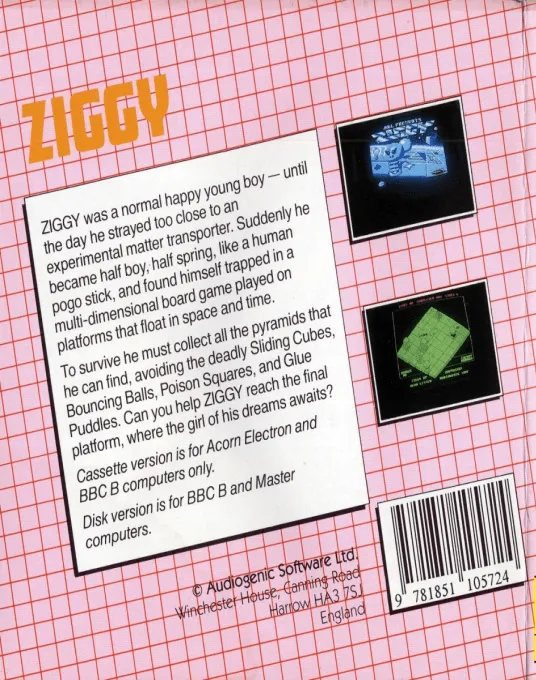 Ziggy box back