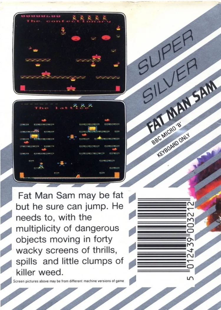 Fat Man Sam box back