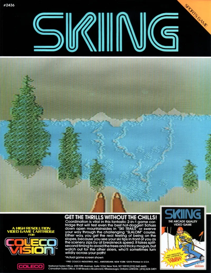 Skiing box art