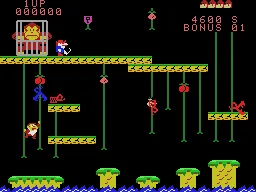 Donkey Kong Junior screenshot