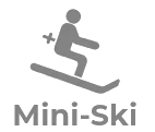 Mini-Ski logo