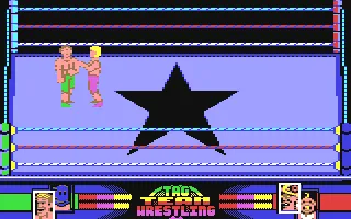 Backdrop artwork for American Tag-Team Wrestling