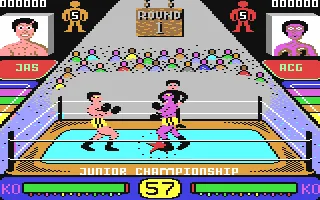 Backdrop artwork for Pro Boxing Simulator