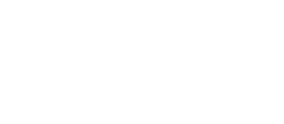 Vortex Raider logo