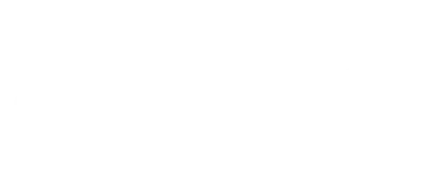 Metro Blitz logo