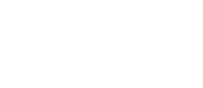Rock n' Bolt logo