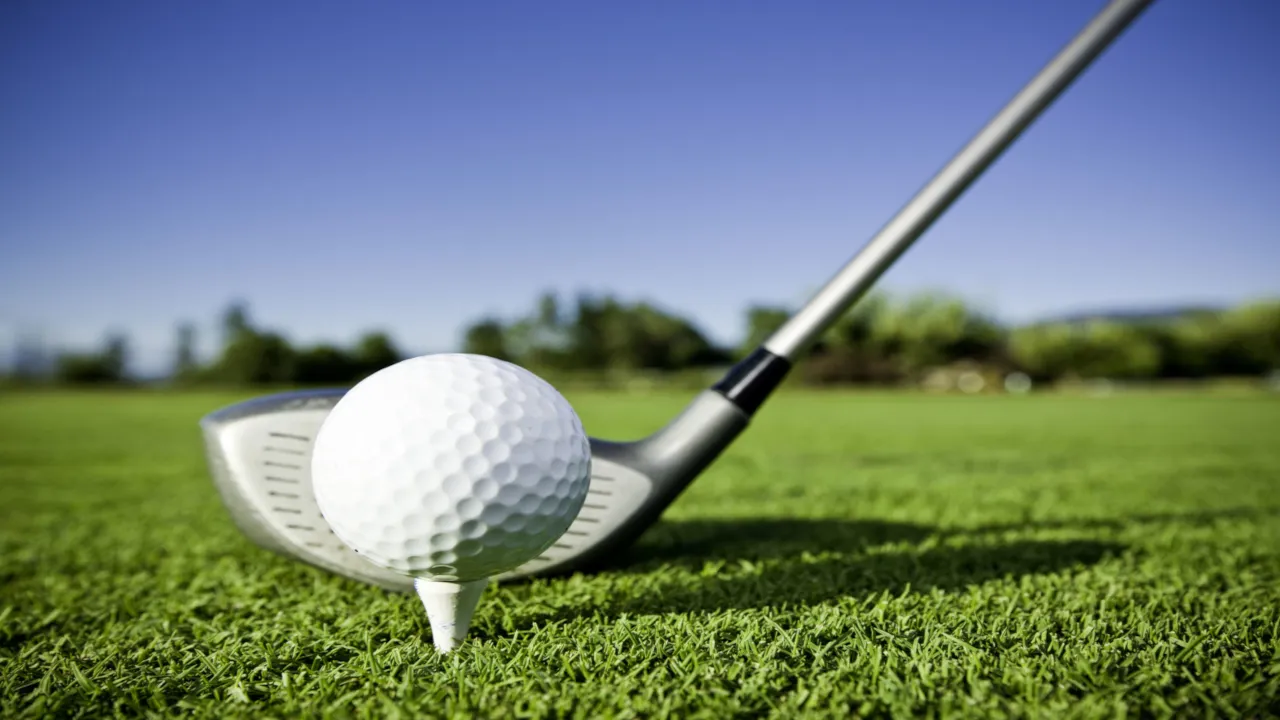 Backdrop artwork for Leader Board: Pro Golf Simulator