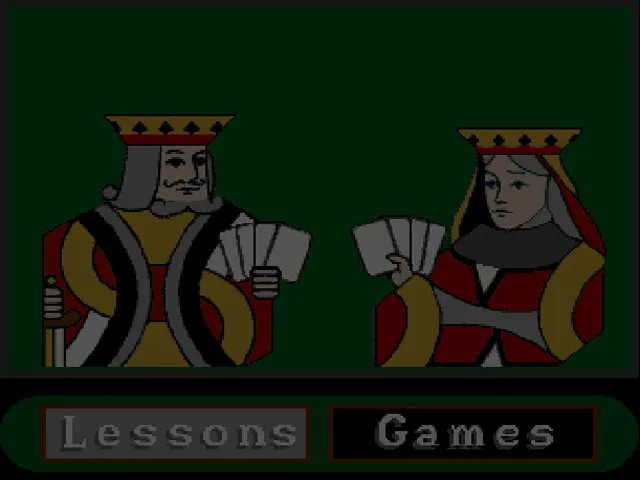 Will Bridge: Initiation Junior screenshot