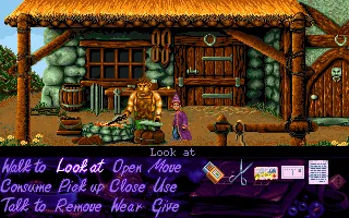 Simon the Sorcerer screenshot