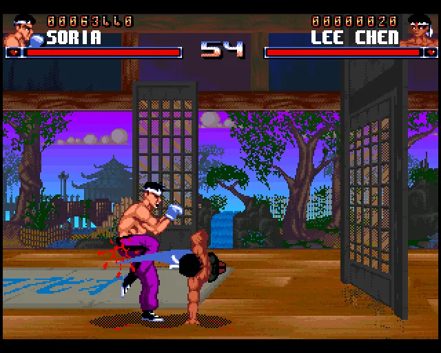 Shadow Fighter screenshot