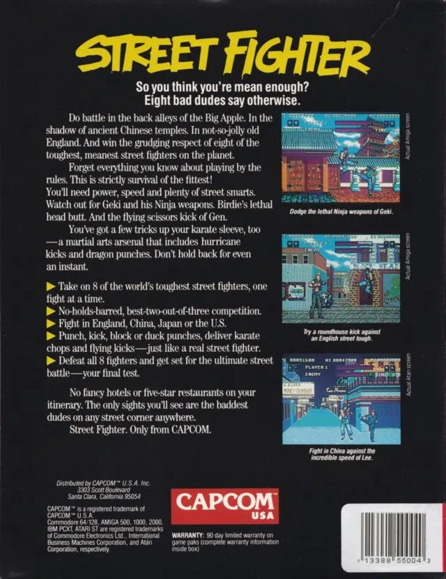 Street Fighter box back