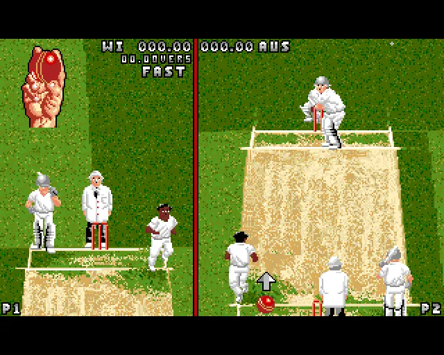 Backdrop artwork for Ian Botham's Cricket