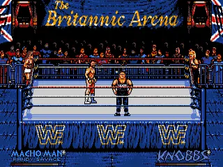 Backdrop artwork for WWF European Rampage Tour