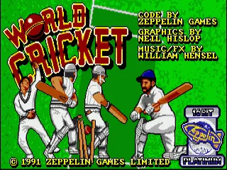 World Cricket screenshot
