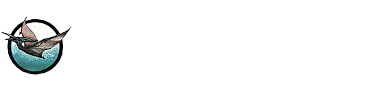 StarRay logo