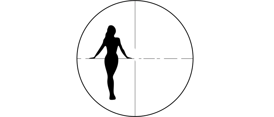 Fascination logo