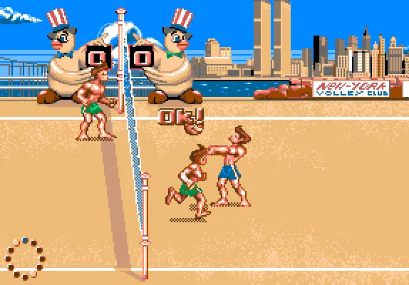 Backdrop artwork for Beach Volley