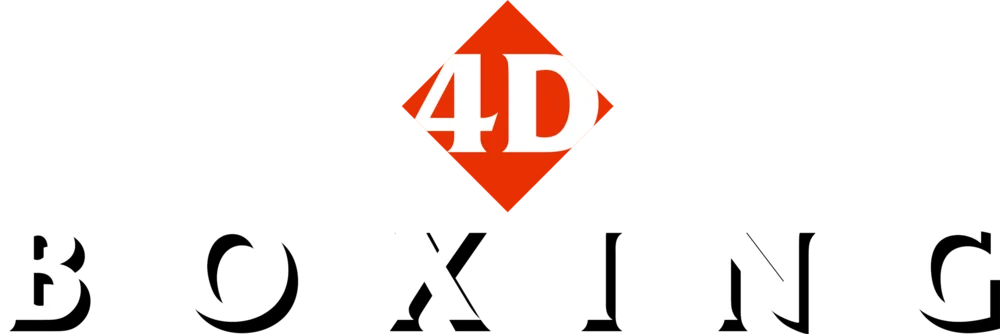 4D Sports Boxing logo