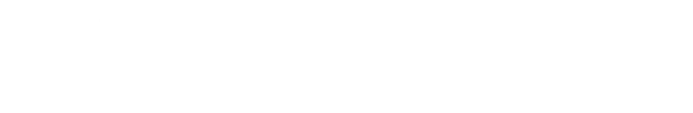 Assassin: Special Edition logo