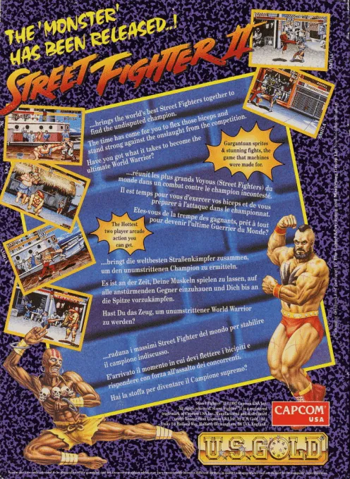 Street Fighter II: The World Warrior box back