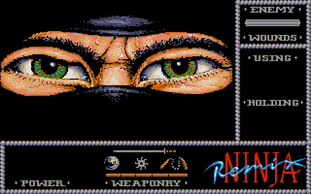 Ninja Remix screenshot