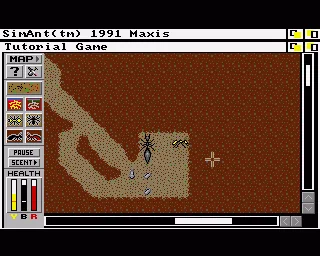 SimAnt screenshot