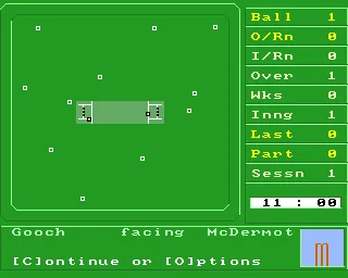 International One Day Cricket screenshot