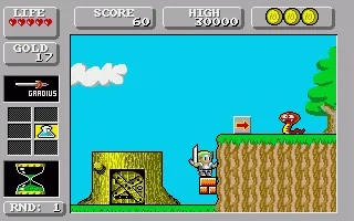 Super Wonderboy - Wonderboy in Monsterland screenshot