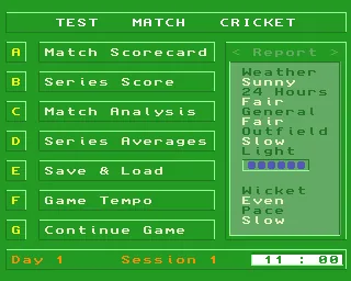 Test Match Cricket screenshot