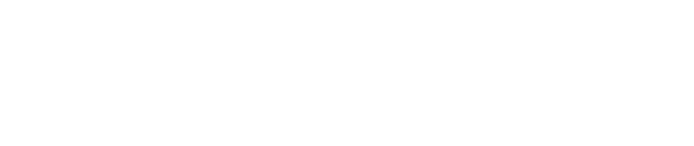 Aggressor logo