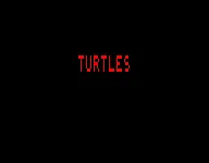 Turtles screenshot