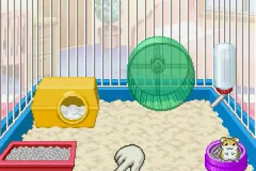 Backdrop artwork for Petz: Hamsterz 2