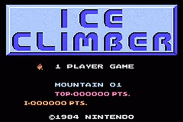 Classic NES Series: Ice Climber screenshot