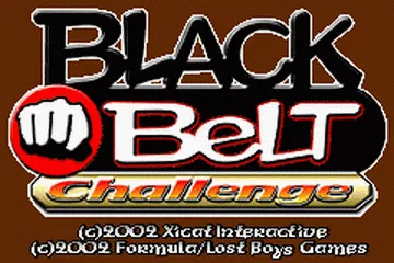 Black Belt Challenge screenshot