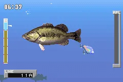 Backdrop artwork for ESPN Great Outdoor Games: Bass 2002