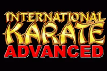 International Karate Advanced screenshot