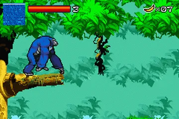 Backdrop artwork for Kong: The Animated Series