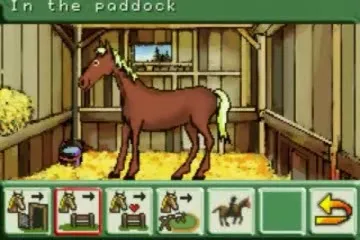 Backdrop artwork for Let's Ride!: Sunshine Stables