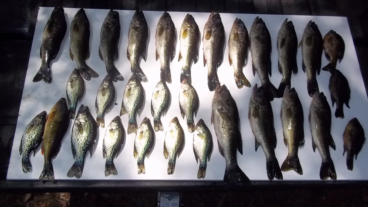 Backdrop artwork for American Bass Challenge