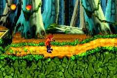 Crash Bandicoot: The Huge Adventure screenshot