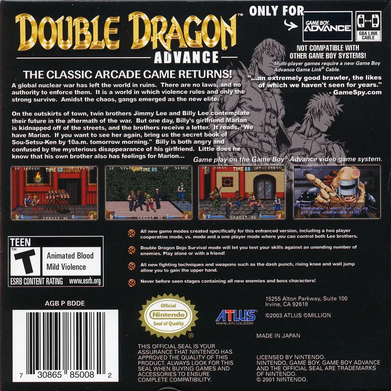 Double Dragon Advance box back
