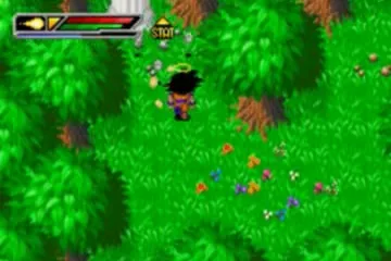 Dragon Ball Z: Buu's Fury screenshot