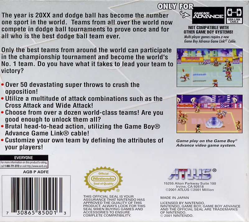 Super Dodge Ball Advance box back