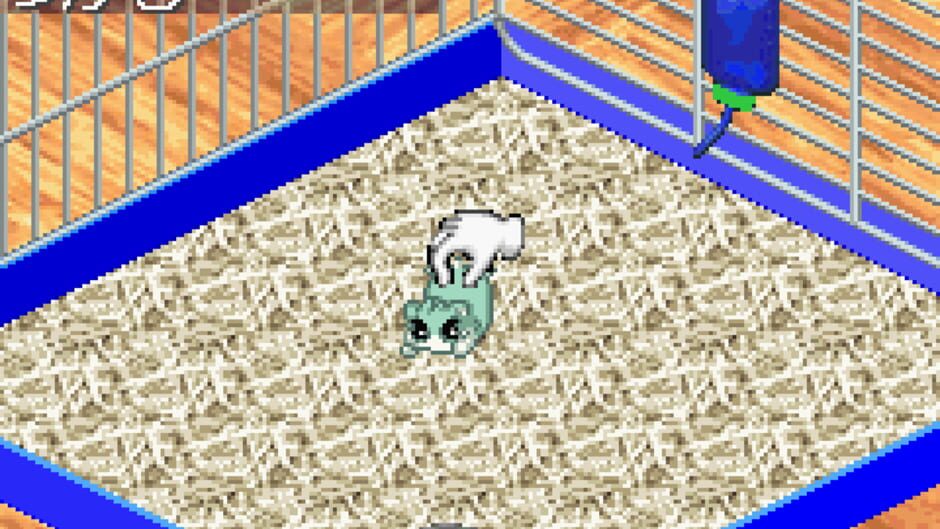 Hamster Monogatari 3 GBA screenshot