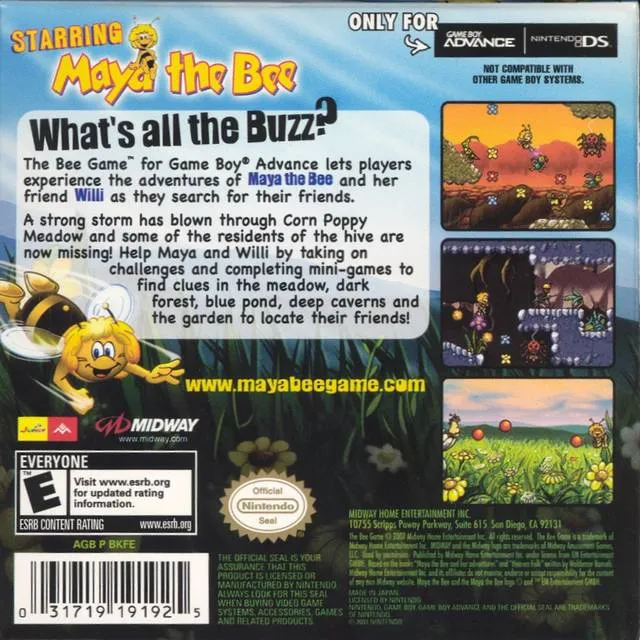 The Bee Game box back
